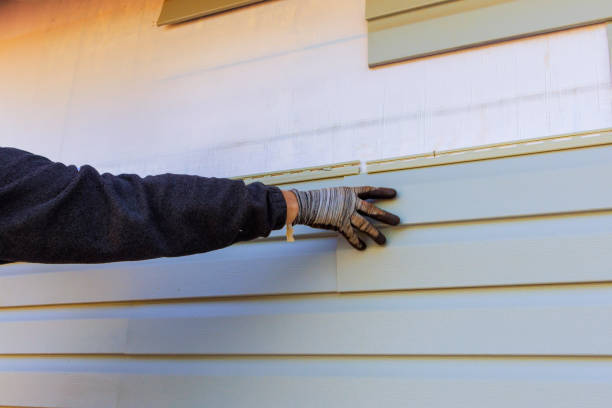 Siding Removal and Disposal in Chilhowie, VA